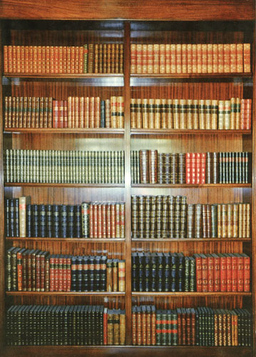 A bookcase of decorative leather books
